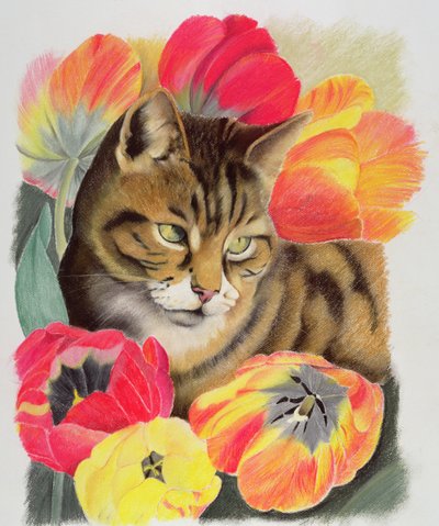Stripy and Tulip by Anne Robinson