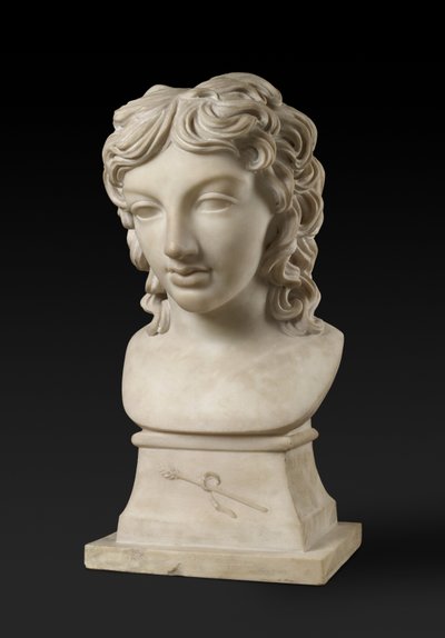 Bust portrait of Prince Henry Lubomirski in the character of Bacchus, c. 1787 by Anne Seymour Damer