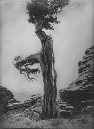 Untitled (Nude at the Base of a Cedar) by Anne W. Brigman