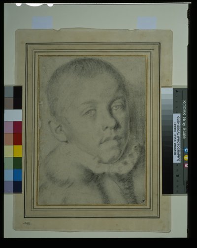 Portrait-head of a young boy by Annibale (follower of) Carracci