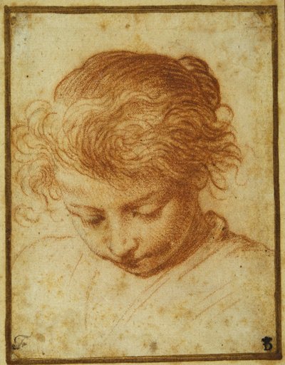 Head of a young girl looking downwards by Annibale Carracci