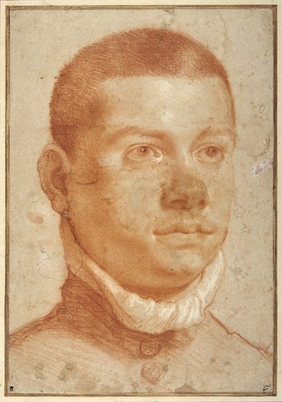 Portrait-head of a young man by Annibale Carracci