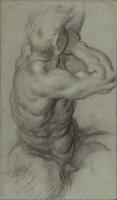Study of Triton Blowing a Conch Shell; Partial Study of an Arm by Annibale Carracci