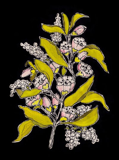 Botanical Bloom on Black by Annick