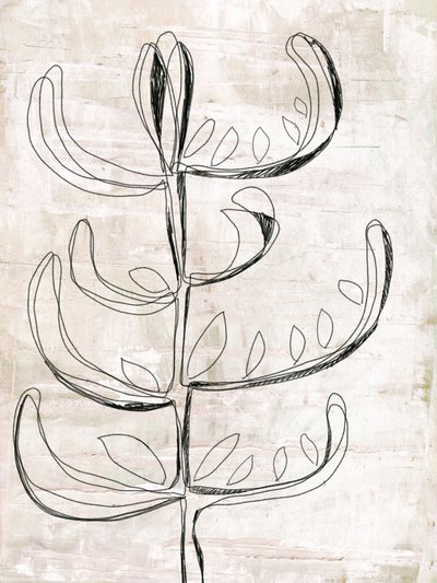 Organic Botanical Sketch by Annick