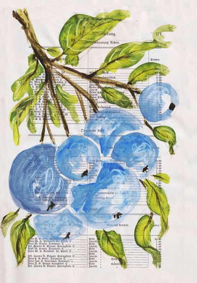 Painted Blueberries on Paper by Annick