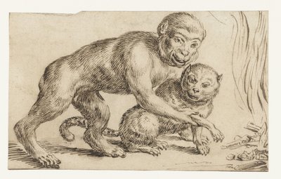 Monkey Holding a Cat