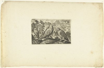 Eagle and a Partridge Volatilium varii generis (...) (series title) by Anonymous