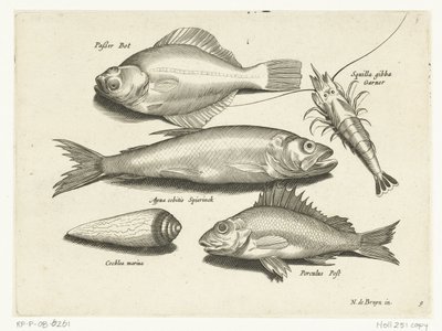 Flounder, Shrimp, Smelt, and Perch by Anonymous
