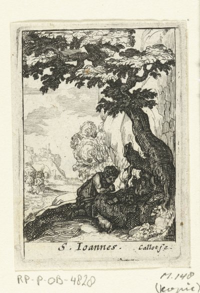 The Penitent John the Baptist by Anonymous