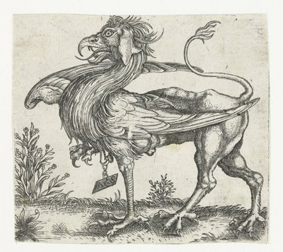 The Griffin by Anonymous