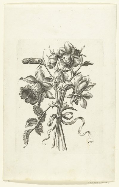 Three Flowers, Including a Daffodil and a Carnation Novae Florum Icones (series title) by Anonymous
