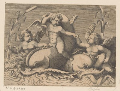 Three Putti with Dolphins by Anonymous