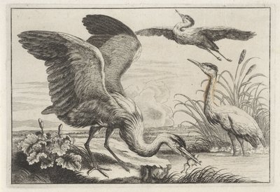 Three Herons by Anonymous