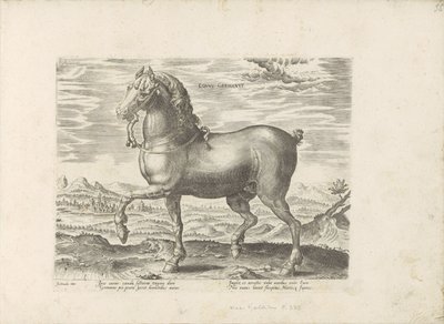 German Horse by Anonymous