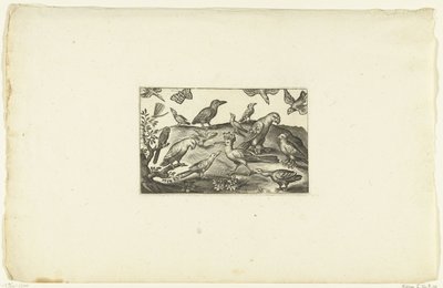 A Hoopoe with Various Birds Volatilium varii generis (...) (series title) by Anonymous