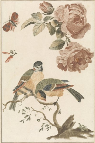A Blue Tit and a Great Tit on a Branch, Two Roses and a Butterfly by Anonymous