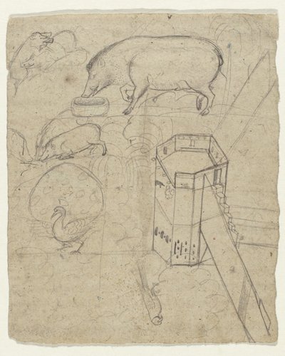 Studies of Pigs, a Peacock, a Parrot, and a Tower by Anonymous