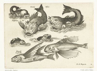 Fantastic Water Creatures, including Dolphin and Pitfish by Anonymous