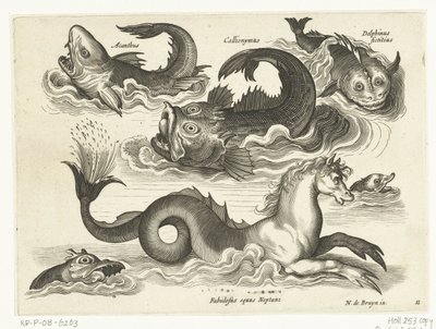 Fantastic Water Creatures, Including Seahorse by Anonymous