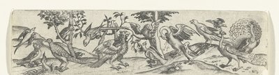 Frieze with Birds, Including Peacock and Pelican by Anonymous