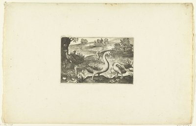 Geese and Ducks by a River (series title) by Anonymous
