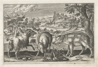 Goat and Pigs (Four-Legged Animals Series) (Animalivm Qvaddrvpedvm Series) by Anonymous