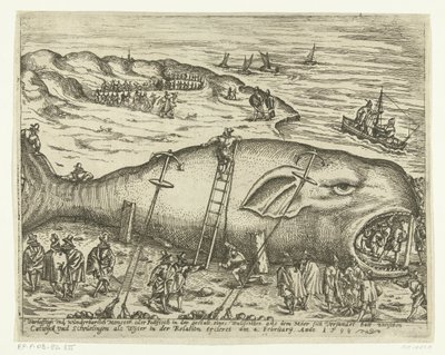 Whale Stranded at Berckhey, 1598 by Anonymous