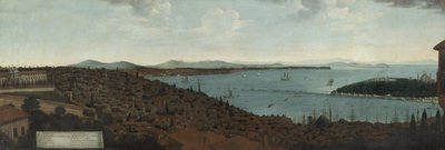 View of Constantinople and the Seraglio from the Dutch Embassy by Anonymous