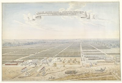 View of the Coffee Plantation Leeverpoel in Suriname by Anonymous