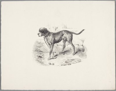 Dog on a Chain by Anonymous