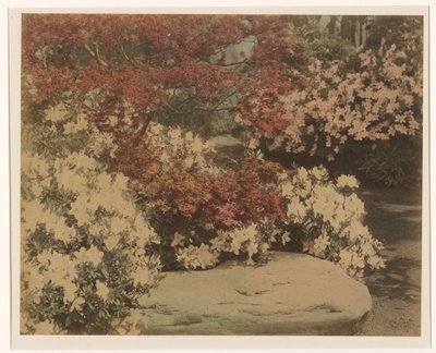 Japanese Garden with Flowers by Anonymous