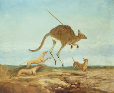 Kangaroo Hunting by Anonymous
