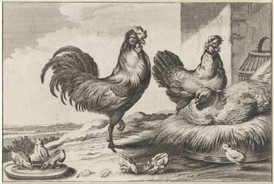 Chicken, Roosters, and Chicks by Anonymous