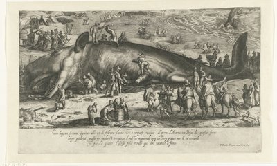 Copy of the Stranded Whale at Berckhey in 1598 as the Whale Stranded at Ancona in 1601 by Anonymous
