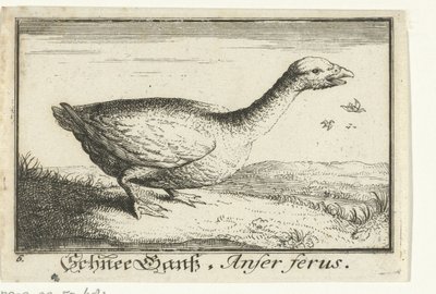 Landscape with Wild Goose by Anonymous