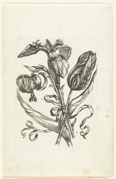 Lily, Iris, and Tulip (series title) by Anonymous