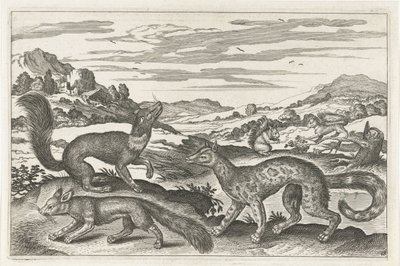 Martens, Squirrels, and a Fox (series: Four-Legged Animals, Animalivm Qvaddrvpedvm) by Anonymous
