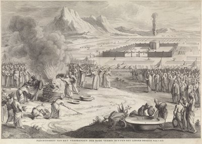 Offering of a Red Cow by the Israelites (Solemnity of Burning the Red Heifer Outside the Camp of Israel) by Anonymous