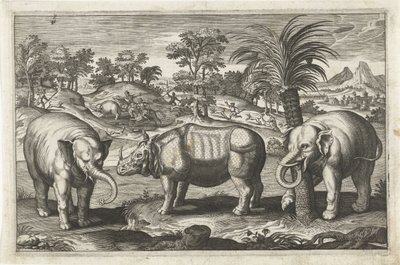 Elephants and Rhinoceros (Four-Legged Animals) by Anonymous