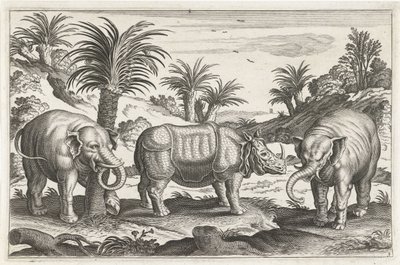 Elephants and Rhinoceros (series: Quadruped Animals, Animalivm Qvaddrvpedvm) by Anonymous