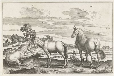 Horse and Donkeys (Four-Legged Animals Series) by Anonymous