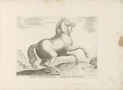 Horse from France by Anonymous