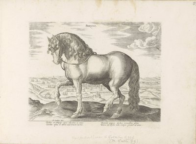 Horse from Friesland by Anonymous