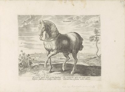Horse from Gelre by Anonymous
