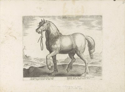 Horse from Gulik (Juliacus) by Anonymous