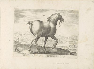 Horse from Saxony (Saxo) (Horse Breeds from the Royal Stables of Don Juan of Austria) by Anonymous