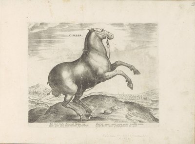 Horse from Scythia (Horse Breeds from the Royal Stables of Don Juan of Austria) by Anonymous