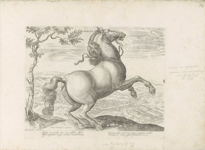 Horse from Tuscany (Equile, in quo omnis generis generosissi: morum equorum ex varijs orbis partibus insignis delectus) by Anonymous