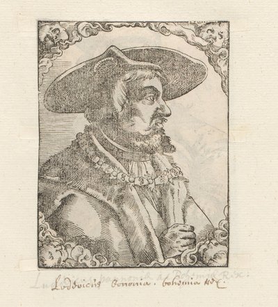 Portrait of Louis II of Hungary by Anonymous